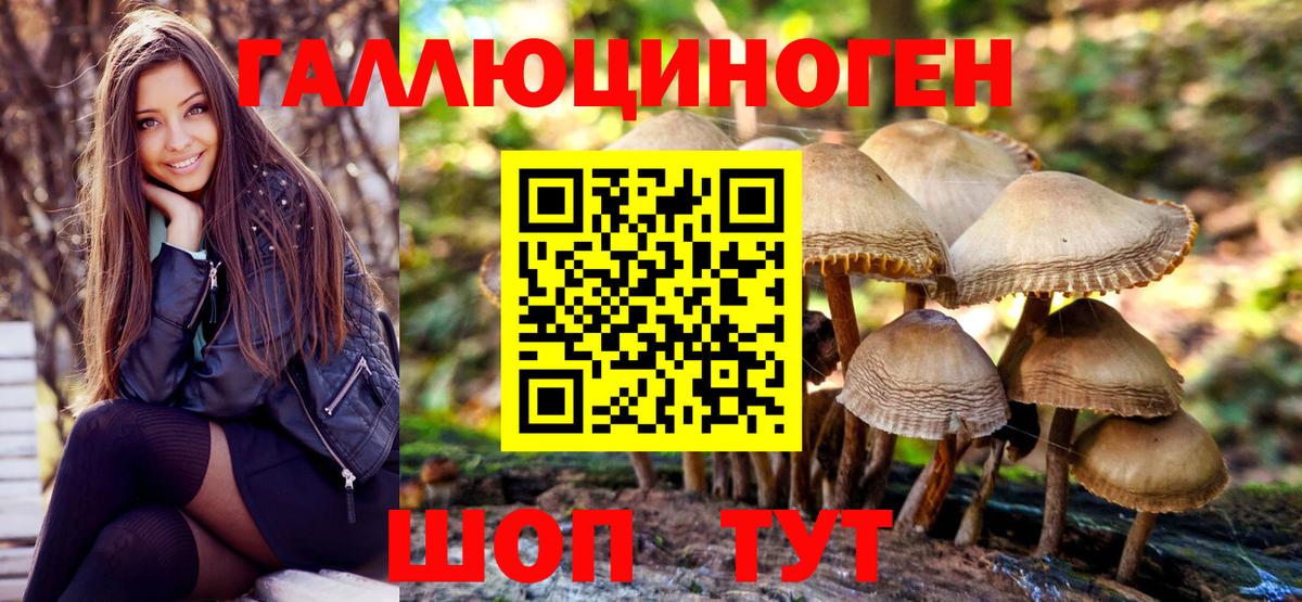 Галлюциногенные грибы Psilocybine cubensis  Вход с VPN  Псилоцибиновые грибы GOLDEN TEACHER  купить наркотики сайты  Котовск 